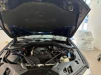 Szczegółowe zdjęcie