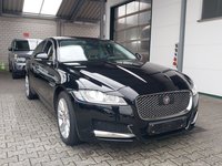 Vaizdas iš priekio dešinės