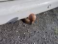 View of trailer tow-bar hitch