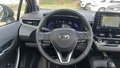 View of steering wheel
