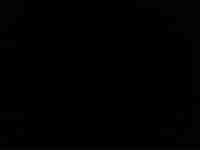 Verilen hizmete dair bilgiler