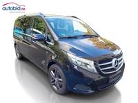 Vaizdas iš priekio dešinės