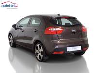 Вид сзади слева