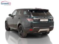 Vaade tagant vasakult