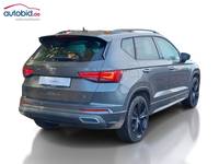 Vaade tagant paremalt