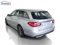 Vista posteriore sinistra