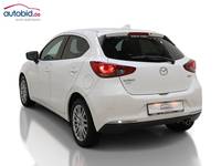 Вид сзади слева