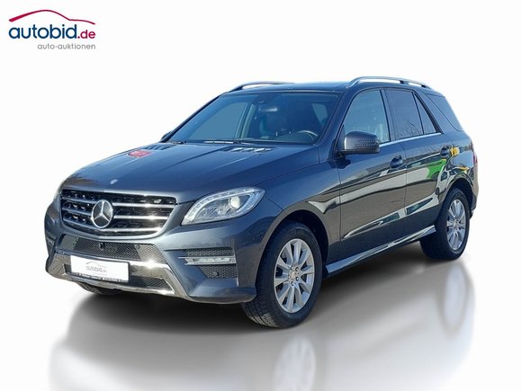 Vista anteriore sinistra