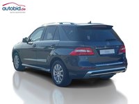 Vista posteriore sinistra