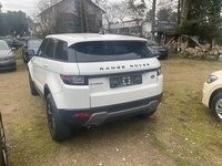 Vista posteriore sinistra