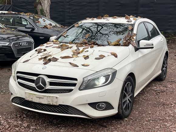 Náhled zpředu zleva