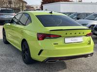 Vista posteriore sinistra