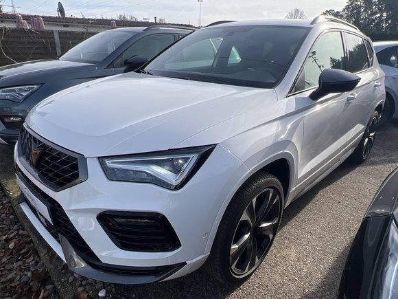 Vista anteriore sinistra