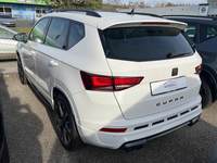 Vista posteriore sinistra