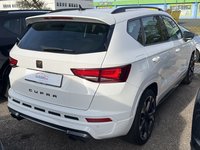 Vista posteriore destra