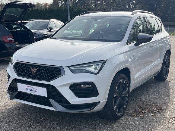 Vista anteriore sinistra