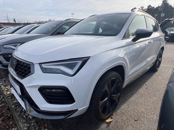 Vista anteriore sinistra