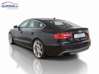 Vista posteriore sinistra