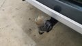 View of trailer tow-bar hitch
