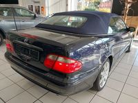 Ansicht hinten rechts