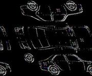 Detalizēta fotogrāfija