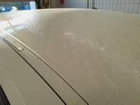 Detalizēta fotogrāfija