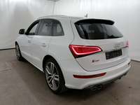 Vista posteriore sinistra