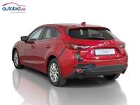 Ansicht hinten links