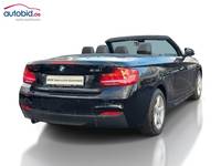 Pogled od pozadi desno