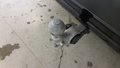 View of trailer tow-bar hitch