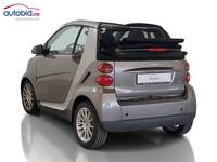 Ansicht hinten links