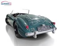 Vaade tagant vasakult