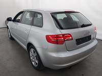 Vista posteriore sinistra