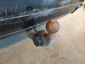 View of trailer tow-bar hitch