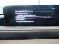 Detalizēta fotogrāfija