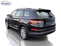 Vaade tagant vasakult