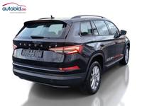 Vaade tagant paremalt