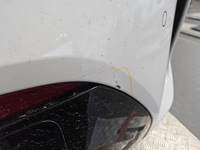 Задний центральный амортизатор