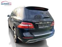 Ansicht hinten links