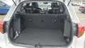 Ansicht Kofferraum / Laderaum
