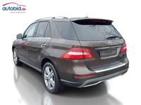 Вид сзади слева