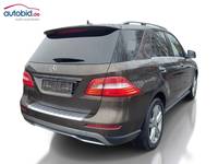 Вид сзади справа