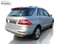 Skats no labās puses aizmugurē