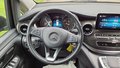 View of steering wheel