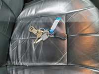 Detalizēta fotogrāfija