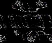 Detalizēta fotogrāfija