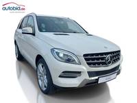 Skats no labās puses priekšā