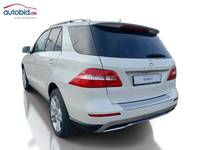 Skats no kreisās puses aizmugurē