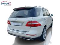 Skats no labās puses aizmugurē