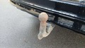 View of trailer tow-bar hitch